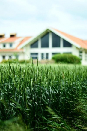 Katrinebergs Folkhögskola B&B